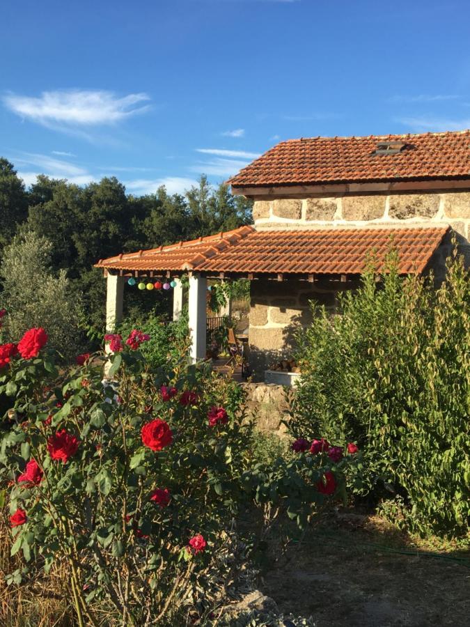 Quinta Do Cobral Βίλα Oliveira do Hospital Εξωτερικό φωτογραφία