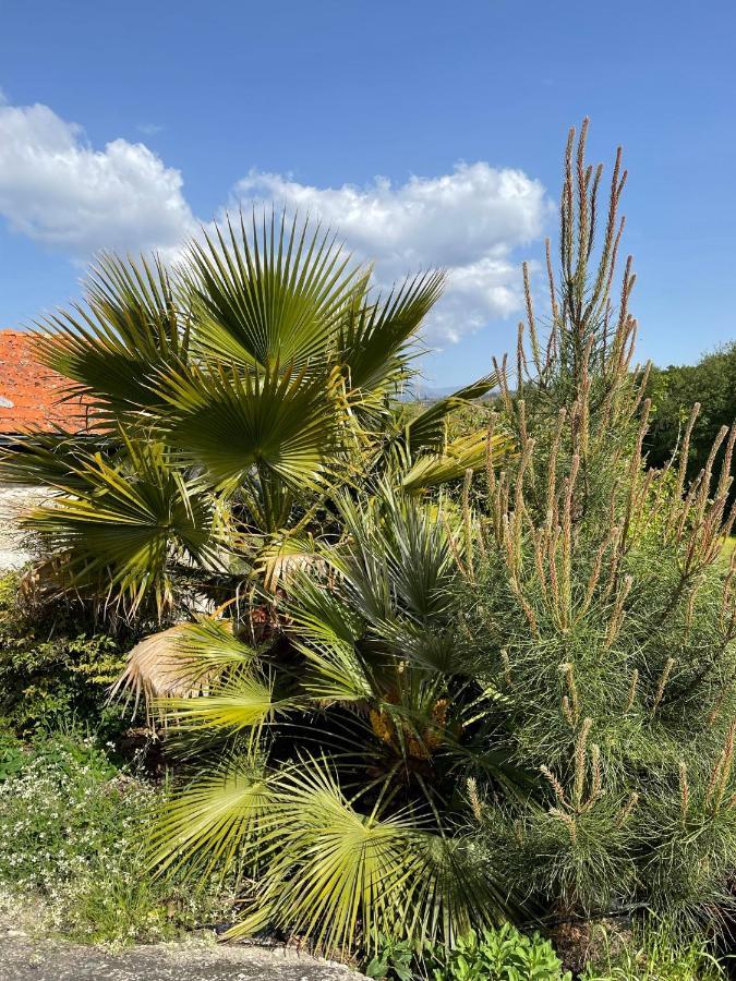 Quinta Do Cobral Βίλα Oliveira do Hospital Εξωτερικό φωτογραφία