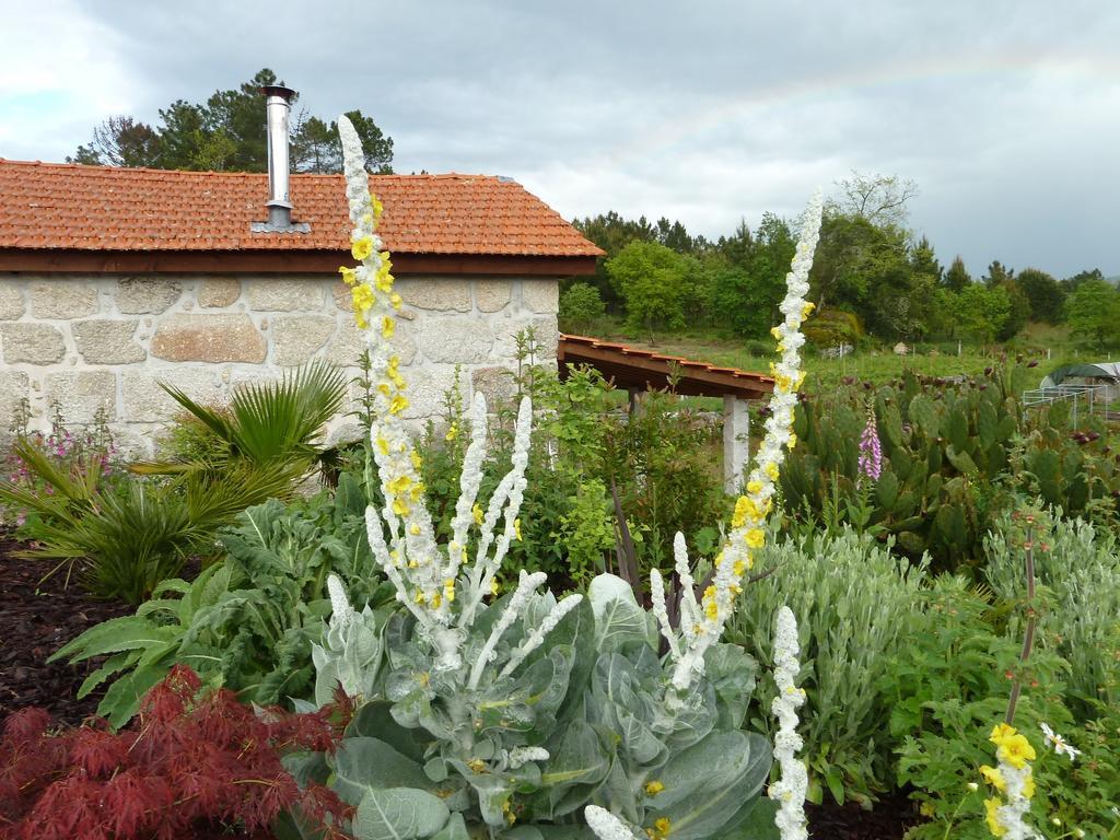 Quinta Do Cobral Βίλα Oliveira do Hospital Εξωτερικό φωτογραφία