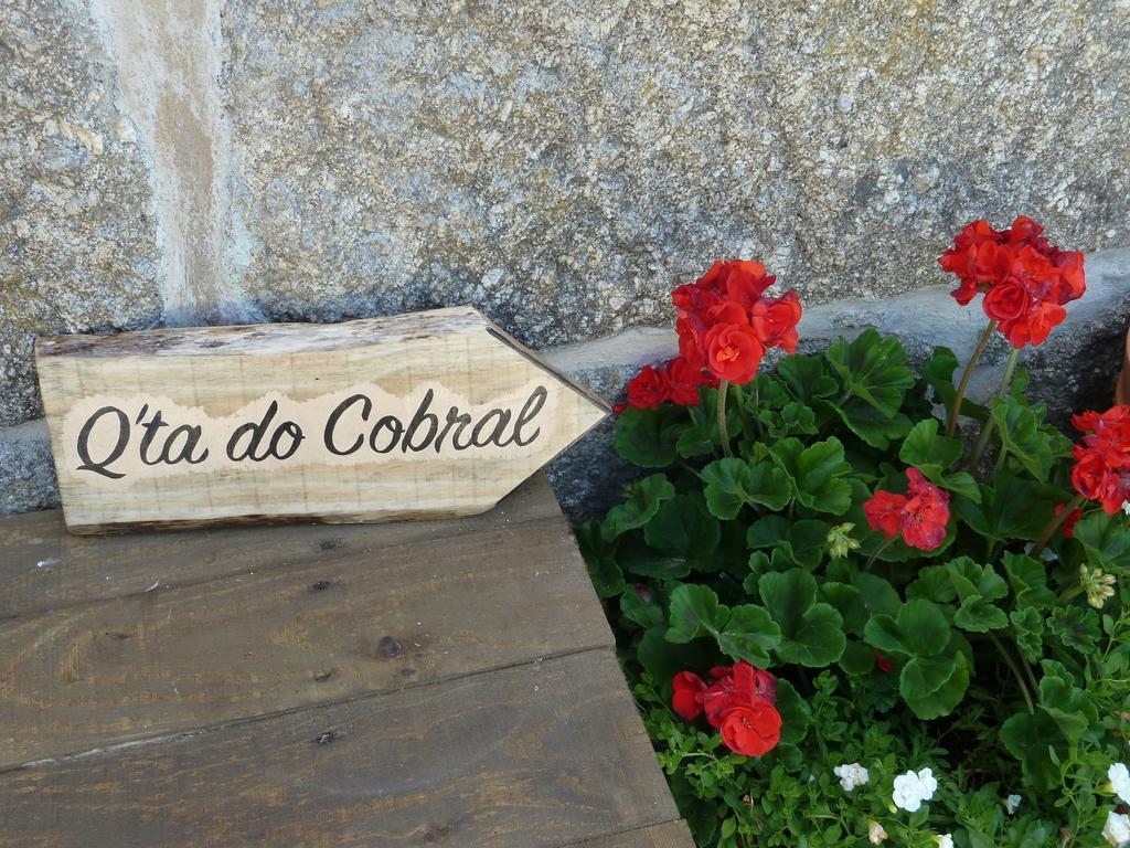 Quinta Do Cobral Βίλα Oliveira do Hospital Εξωτερικό φωτογραφία